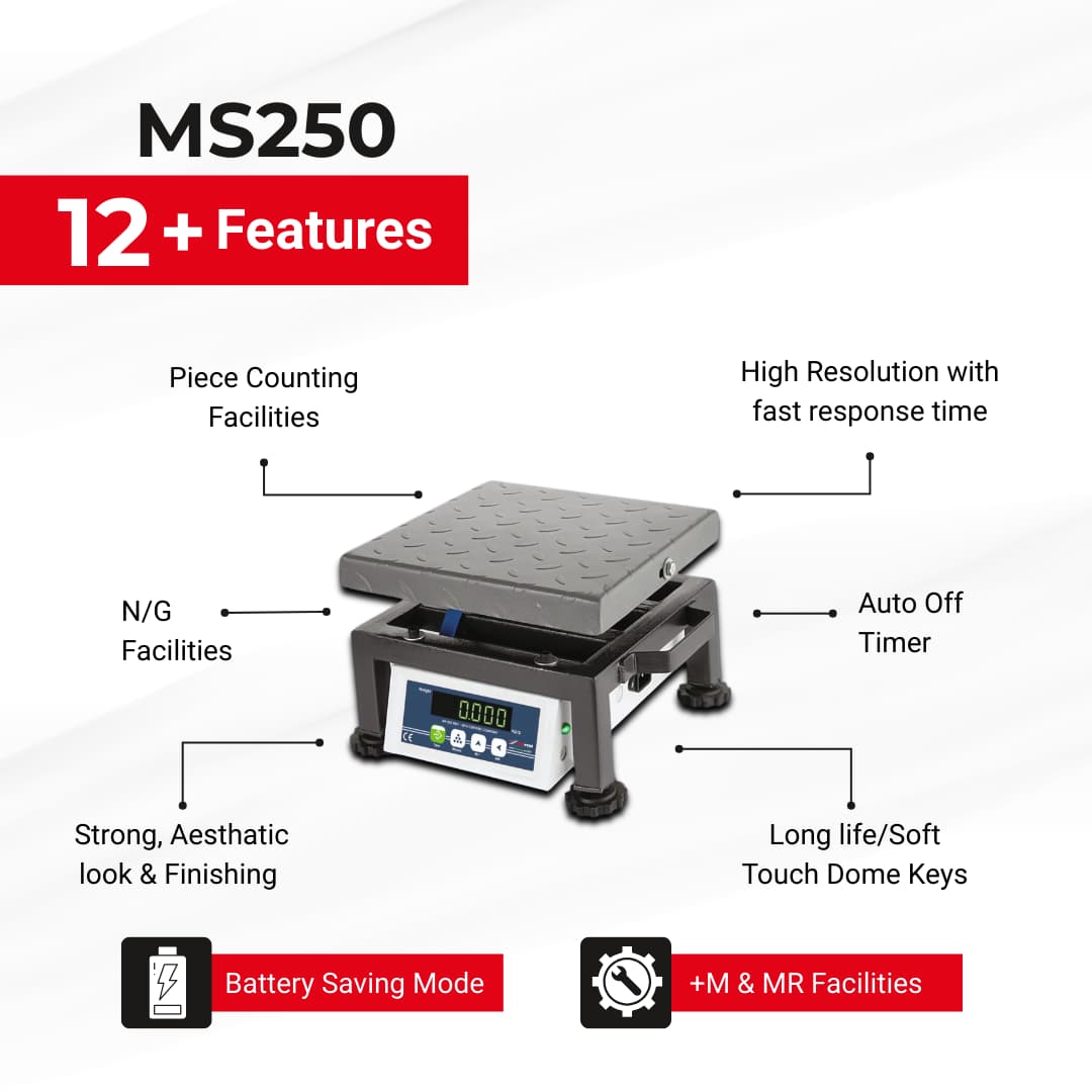 MS250