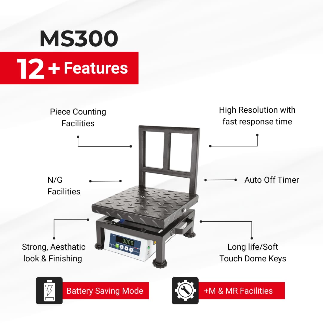 MS300