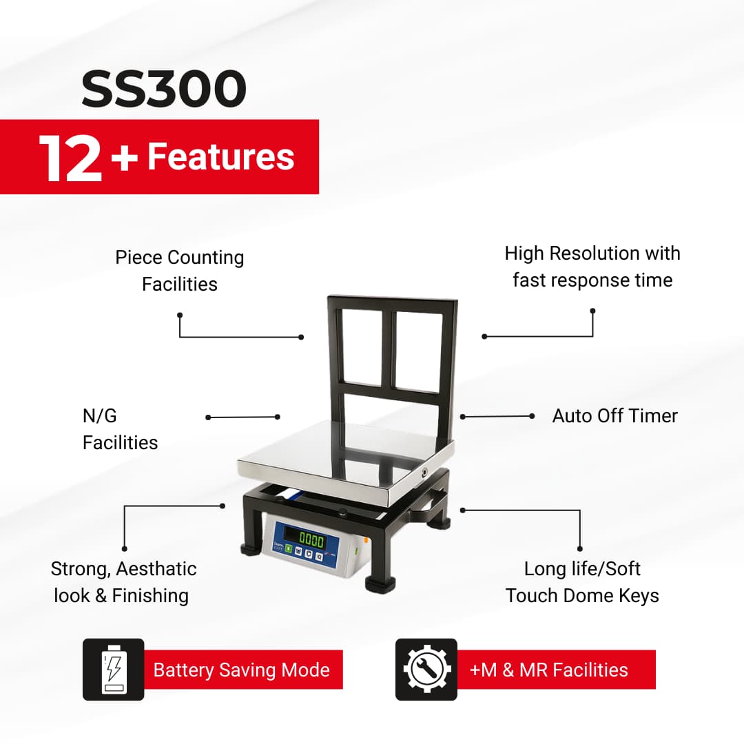 SS300