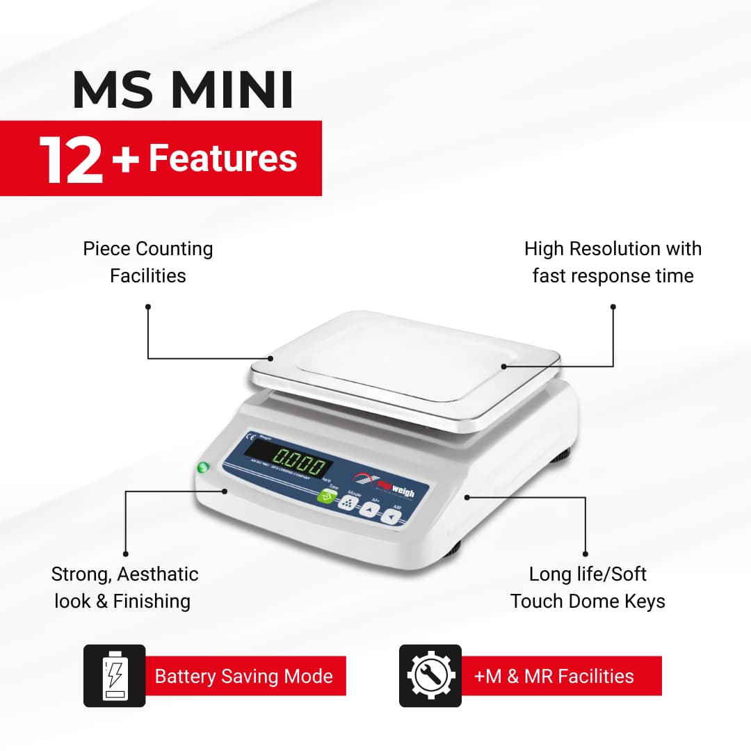 MS MINI
